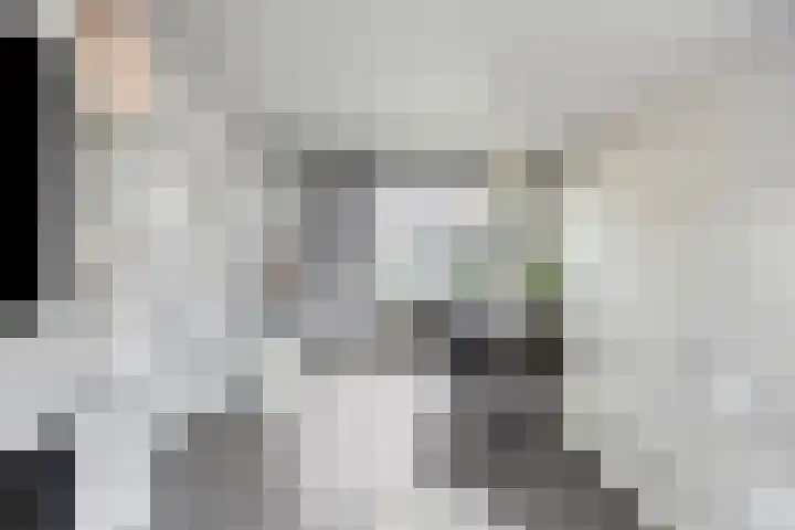 Daltonstraat 5 Heemskerk thumbnail 5