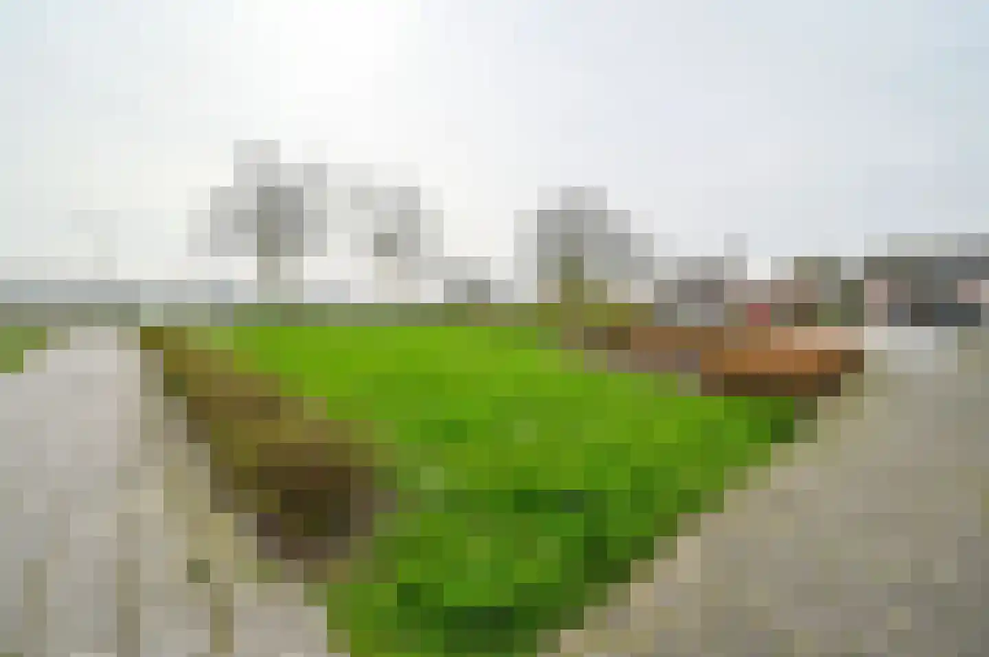 Daltonstraat 6 Kudelstaart thumbnail 31