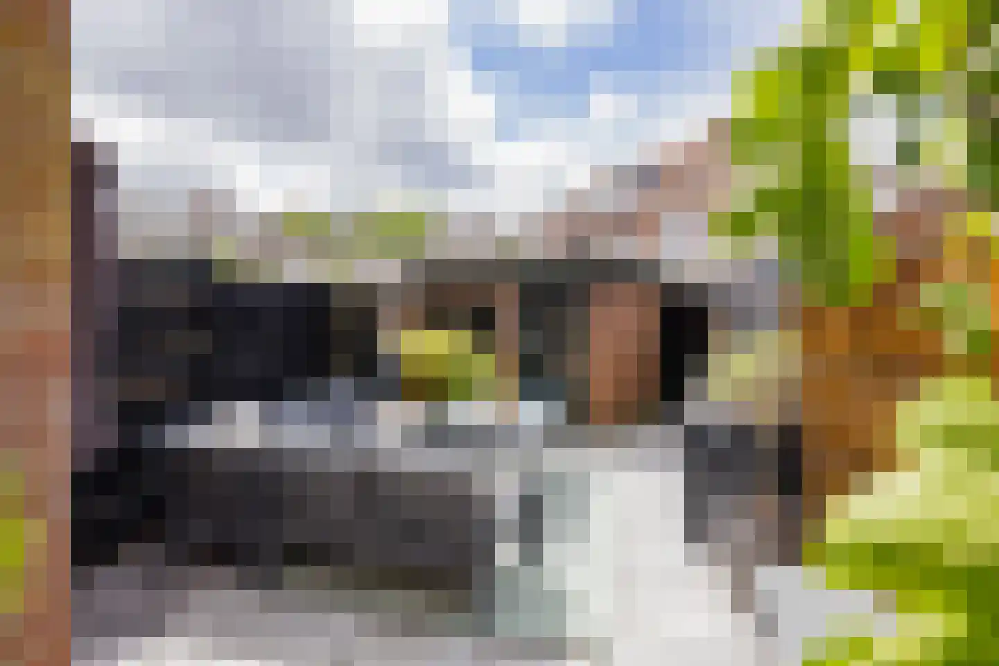 Daltonstraat 8 IJmuiden thumbnail 21