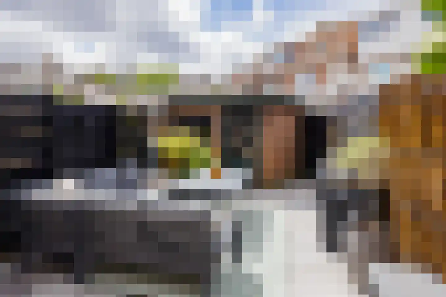 Daltonstraat 8 IJmuiden thumbnail 4