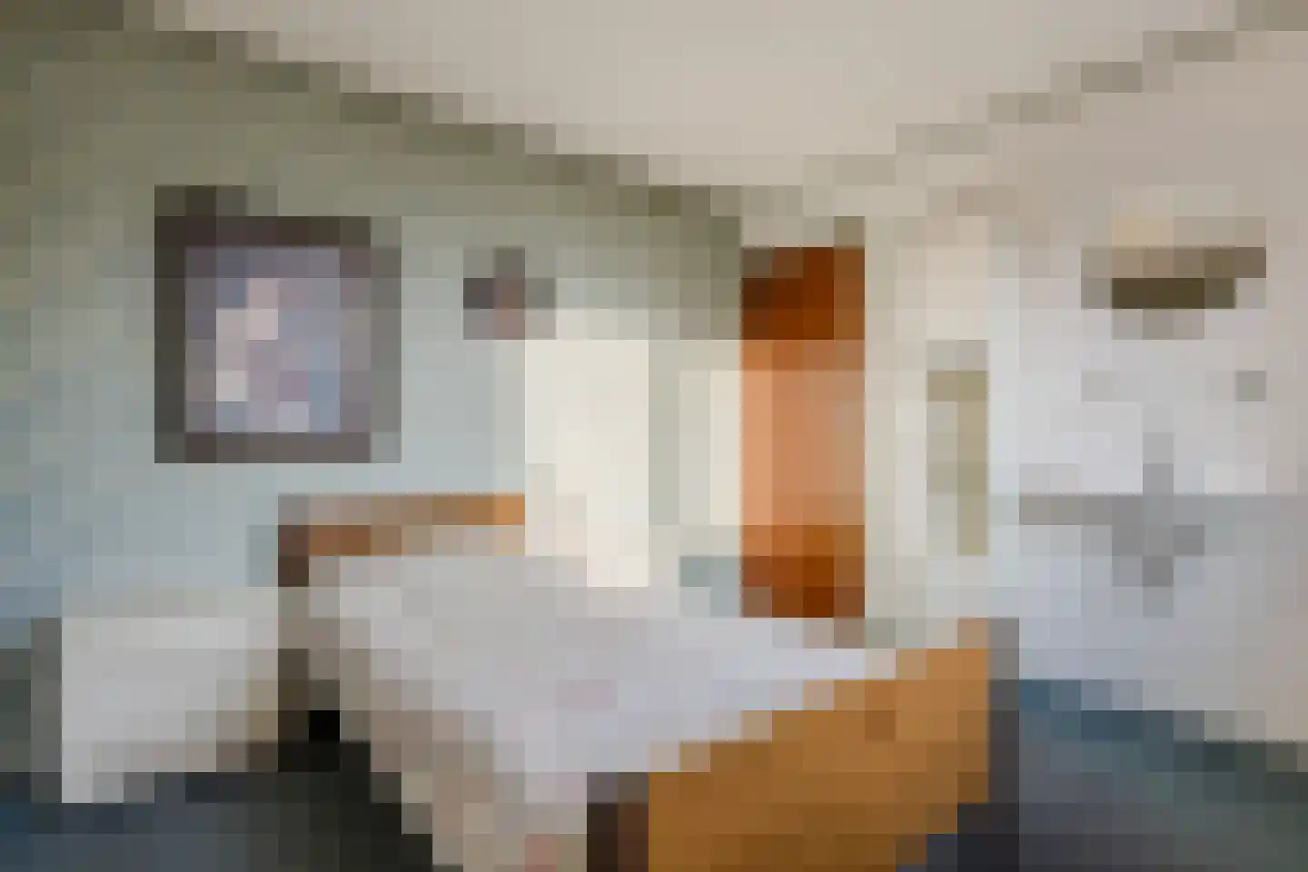 Daltonstraat 8 Oosterhout thumbnail 21