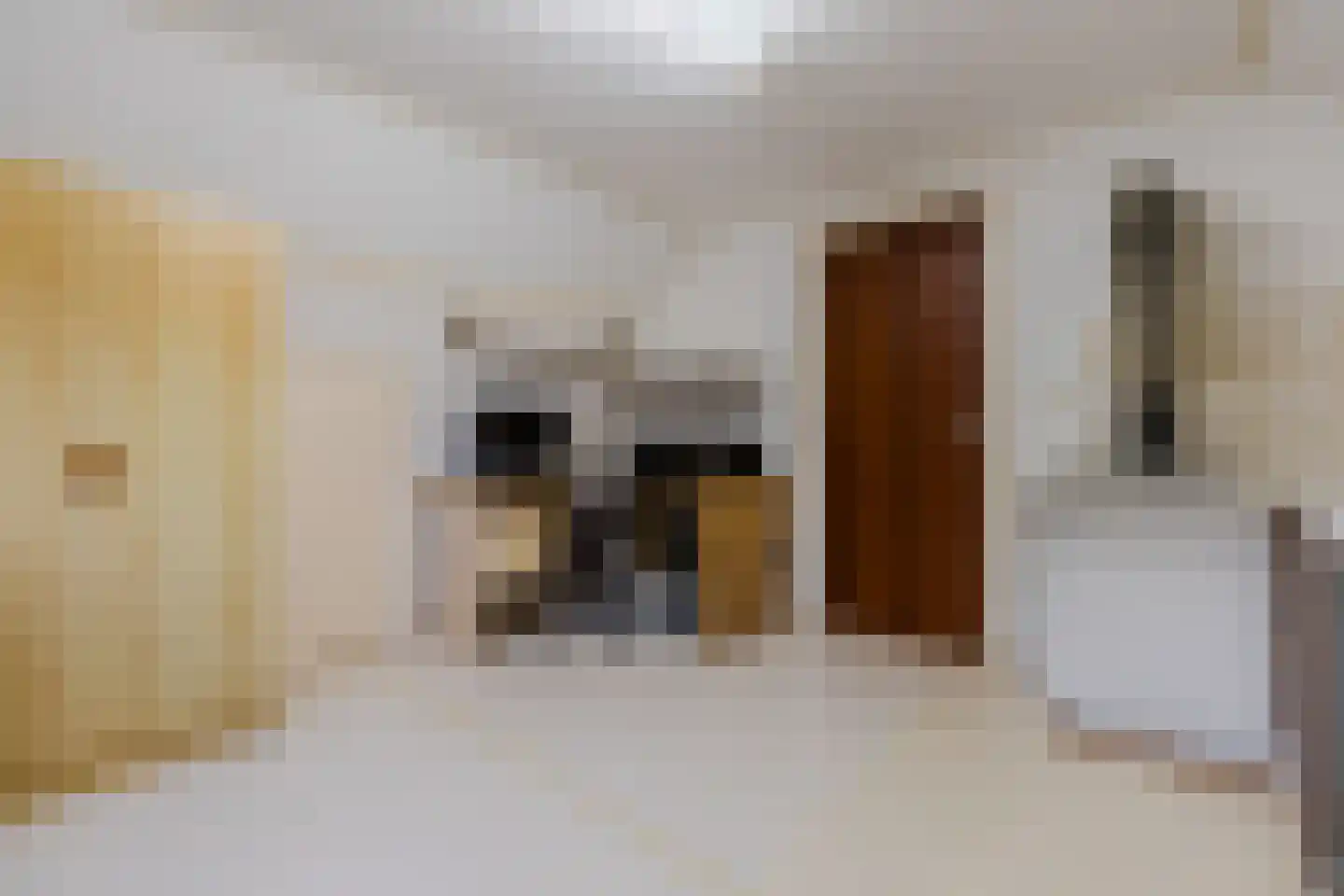 Daltonstraat 8 Oosterhout thumbnail 31