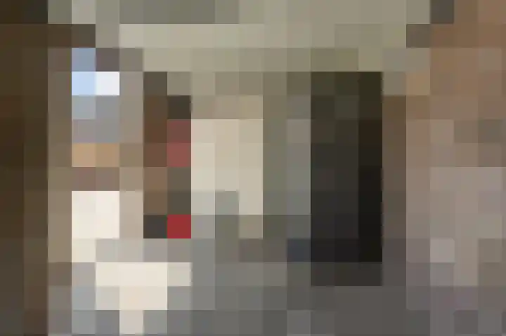 Daltonstraat 9 Heemskerk thumbnail 31