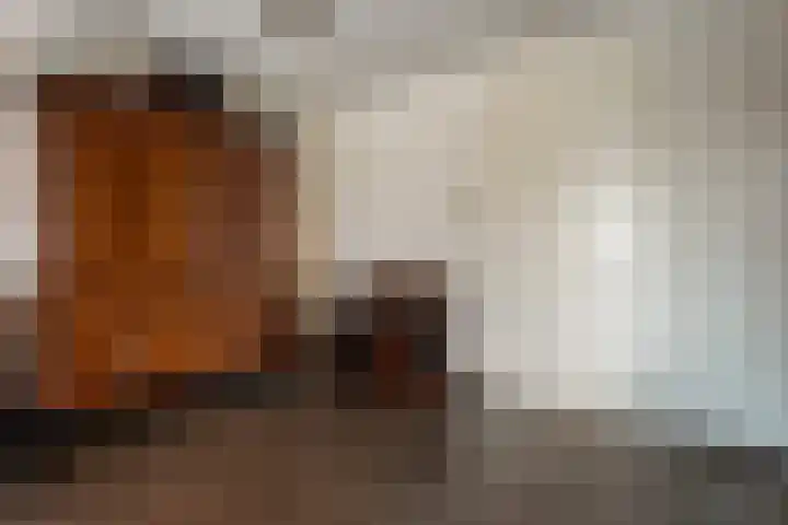 Dalvoordeweg 3 04 Daarle thumbnail 16
