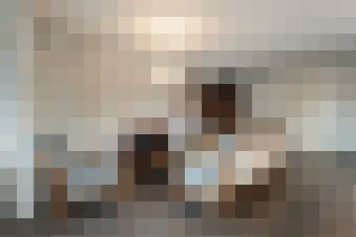 Dalvoordeweg 3 04 Daarle thumbnail 17