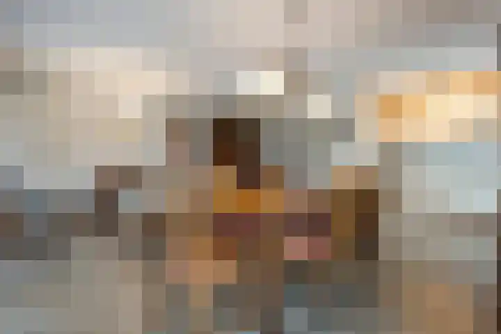 Dalvoordeweg 3 04 Daarle thumbnail 20