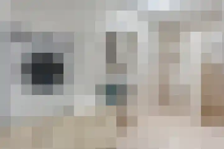 Dalvoordeweg 3 04 Daarle thumbnail 32