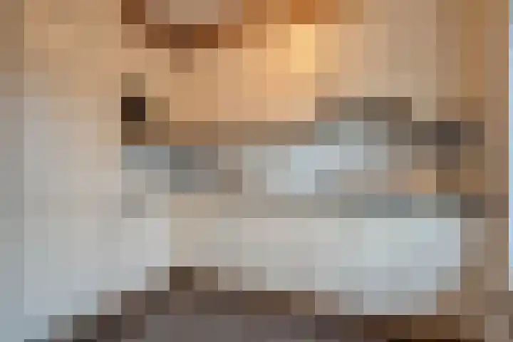 Dalvoordeweg 3 04 Daarle thumbnail 4