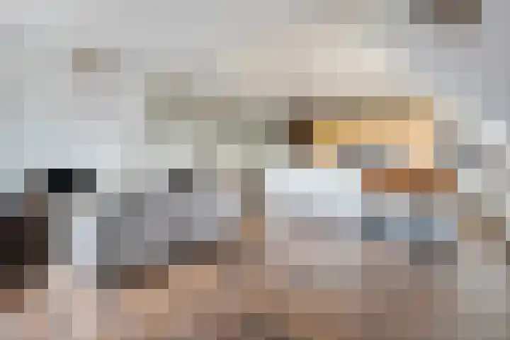 Dalvoordeweg 3 08 Daarle thumbnail 15