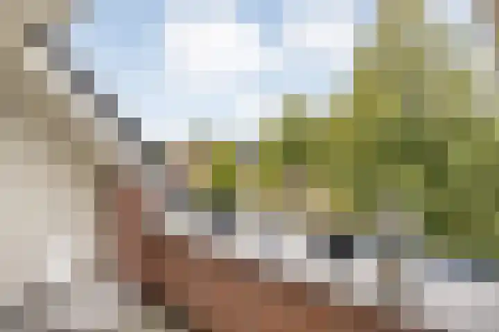 Dalvoordeweg 3 08 Daarle thumbnail 18
