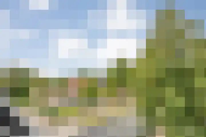 Dalvoordeweg 3 08 Daarle thumbnail 19
