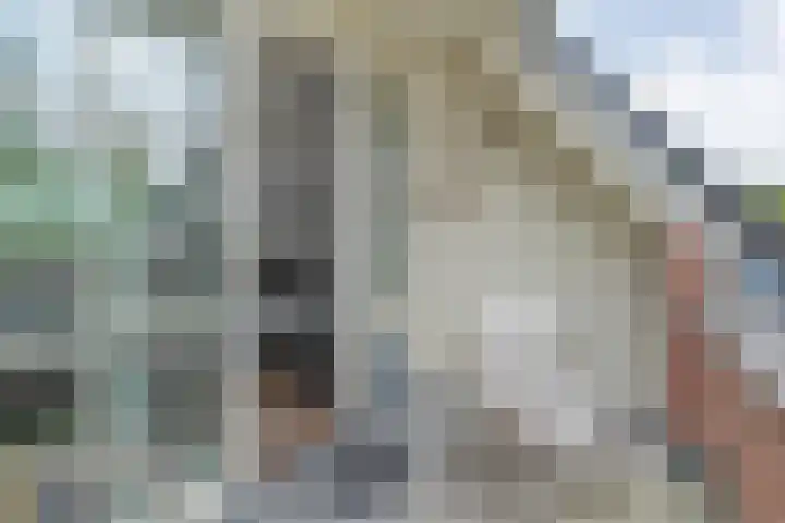 Dalvoordeweg 3 08 Daarle thumbnail 20
