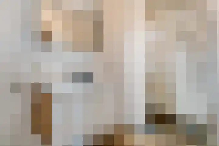 Dalvoordeweg 3 08 Daarle thumbnail 32