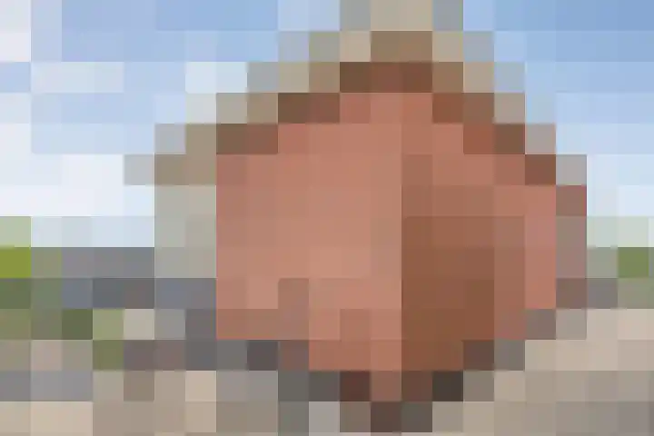 Dalvoordeweg 3 08 Daarle thumbnail 35
