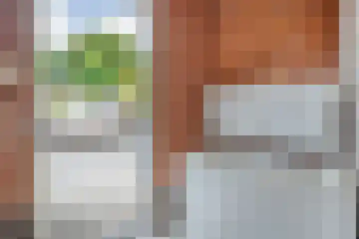 Dalvoordeweg 3 08 Daarle thumbnail 36