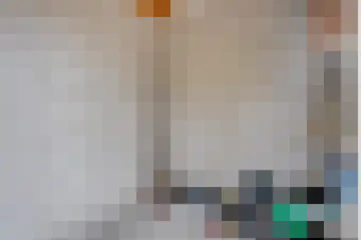 Dalvoordeweg 3 08 Daarle thumbnail 37
