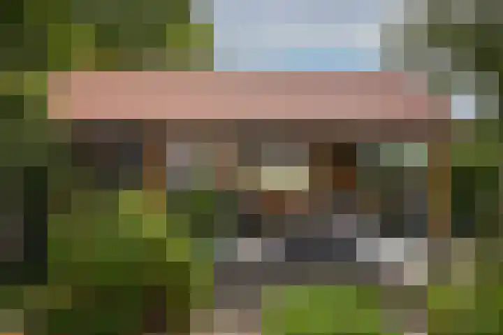 Dalwagen 88 Dodewaard thumbnail 32
