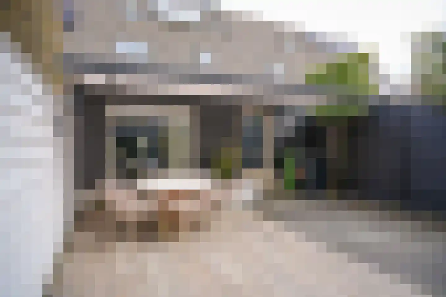 Dalwagenseweg 116 Opheusden thumbnail 33