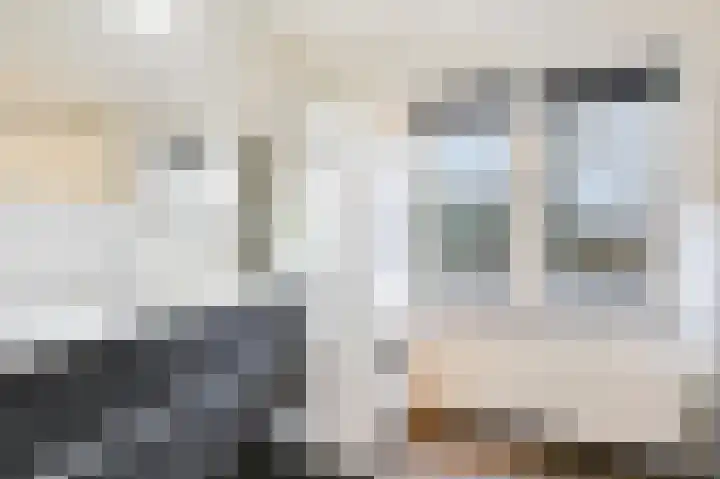 Dalweg 12 De Steeg thumbnail 16