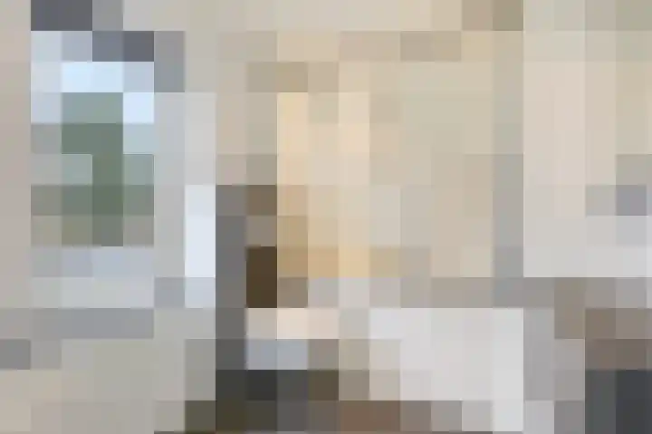 Dalweg 12 De Steeg thumbnail 17