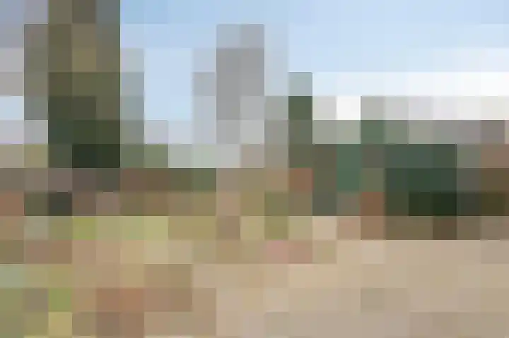 Dalweg 12 De Steeg thumbnail 21