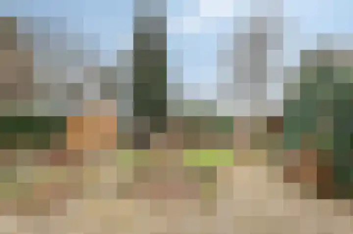 Dalweg 12 De Steeg thumbnail 22