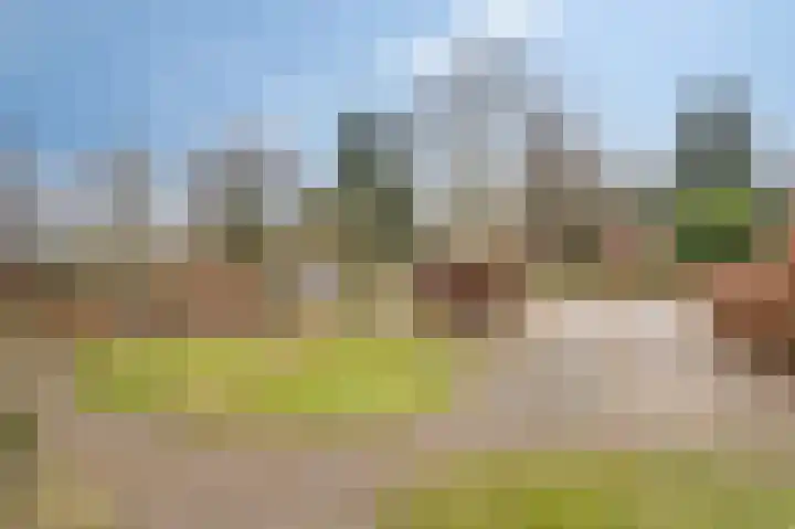 Dalweg 12 De Steeg thumbnail 25