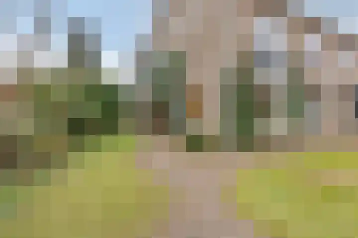 Dalweg 12 De Steeg thumbnail 26