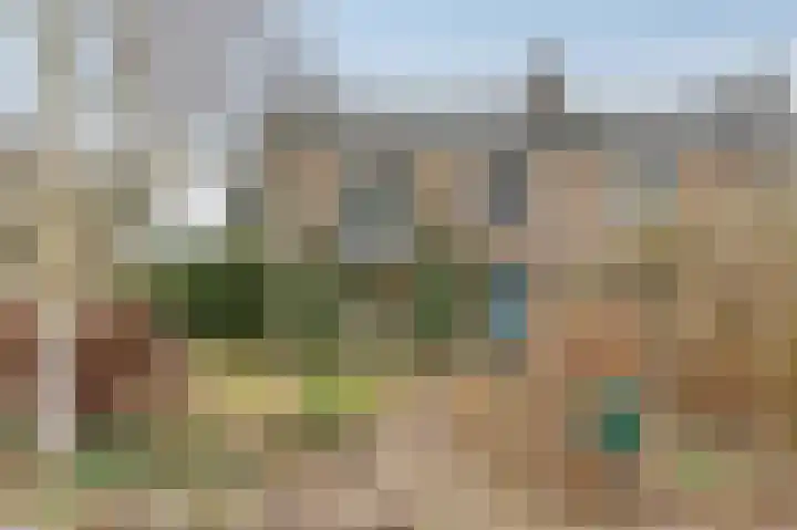 Dalweg 12 De Steeg thumbnail 27