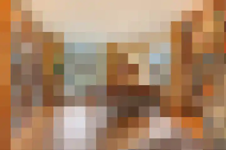 Dalweg 12 De Steeg thumbnail 6