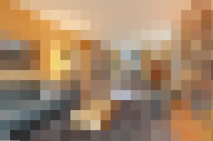Dalweg 12 De Steeg thumbnail 9