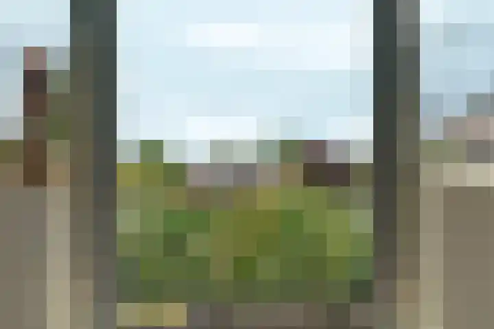 Dalweg 13 Arnhem thumbnail 23