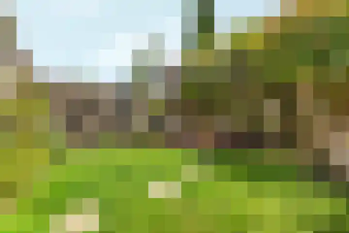 Dalweg 13 Arnhem thumbnail 36