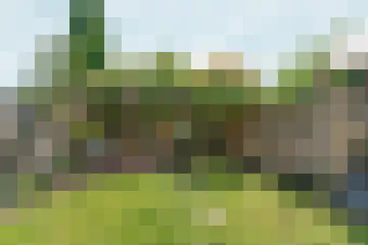 Dalweg 13 Arnhem thumbnail 37