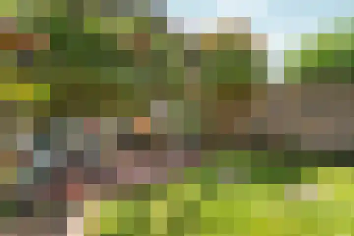 Dalweg 13 Arnhem thumbnail 38