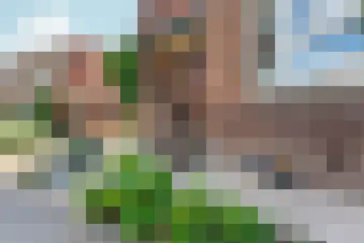 Dalweg 13 Arnhem thumbnail 43