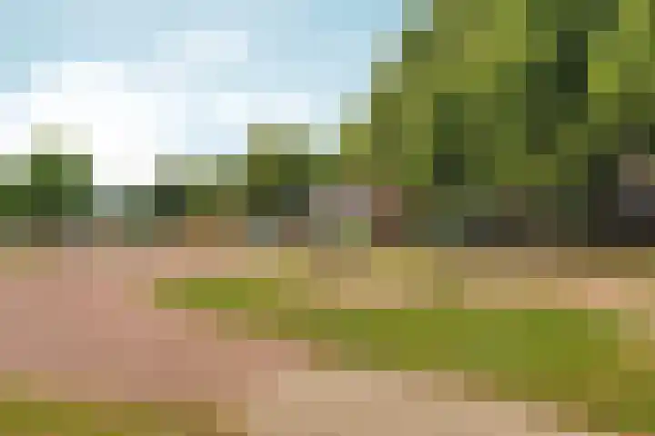 Dalweg 13 Arnhem thumbnail 48