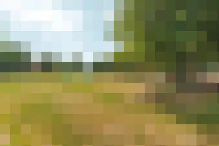 Dalweg 13 Arnhem thumbnail 49