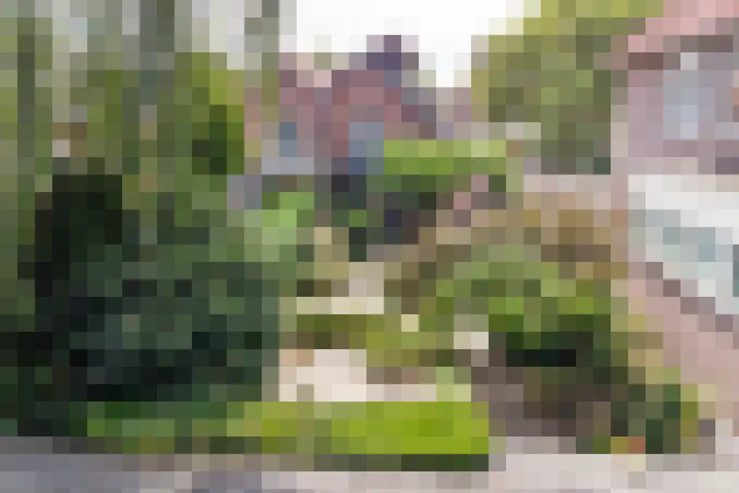 Dalweg 13 Baarn thumbnail 33
