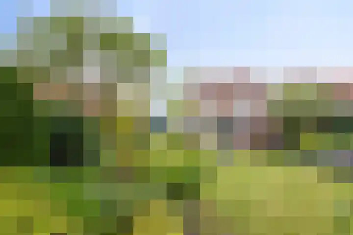 Dalweg 15 Aalten thumbnail 10