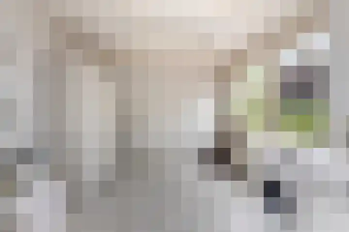 Dalweg 15 Aalten thumbnail 12