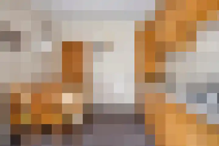 Dalweg 15 Aalten thumbnail 14