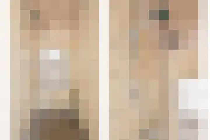 Dalweg 15 Aalten thumbnail 30