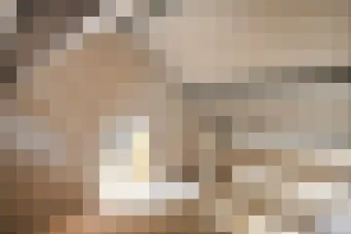 Dalweg 15 Aalten thumbnail 33