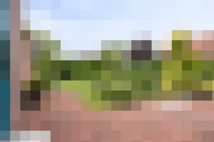 Dalweg 15 Aalten thumbnail 7
