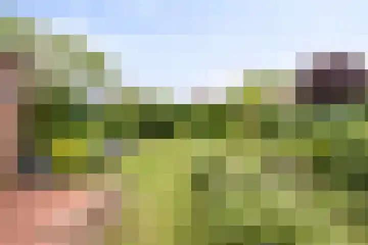 Dalweg 15 Aalten thumbnail 8