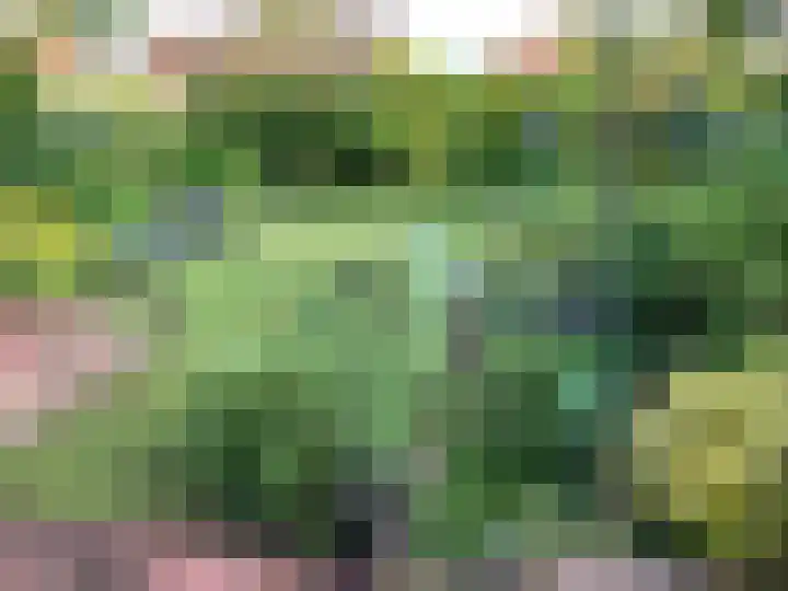 Dalweg 15 Aalten thumbnail 9