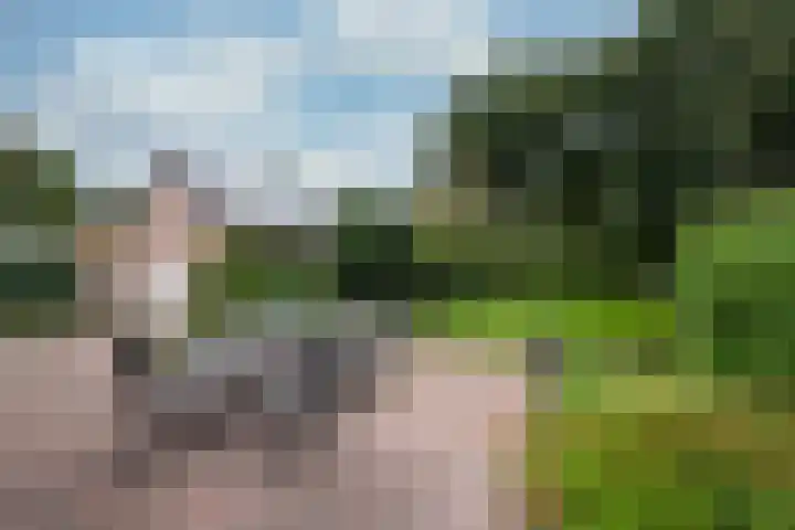 Dalweg 25 Zeist thumbnail 25