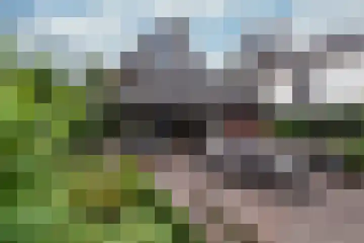 Dalweg 25 Zeist thumbnail 27