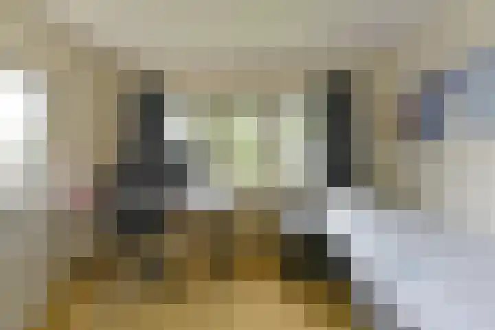 Dalweg 25 Zeist thumbnail 47